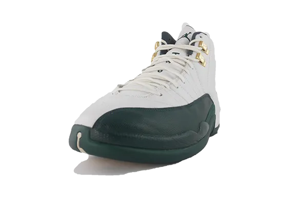 Air Jordan 12 PE Ray Allen