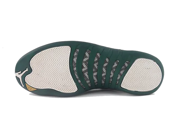 Air Jordan 12 PE Ray Allen