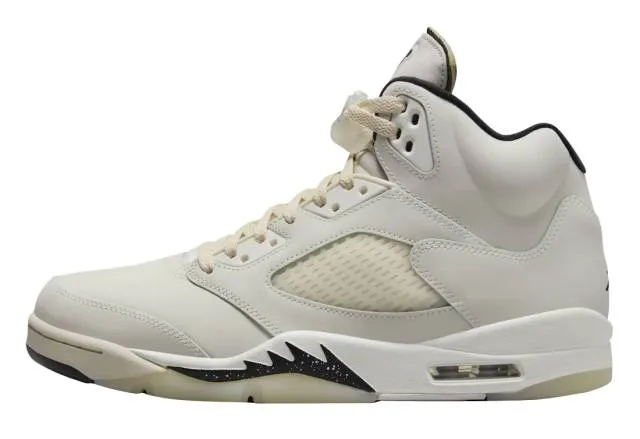 Air Jordan 5 SE Sail GS