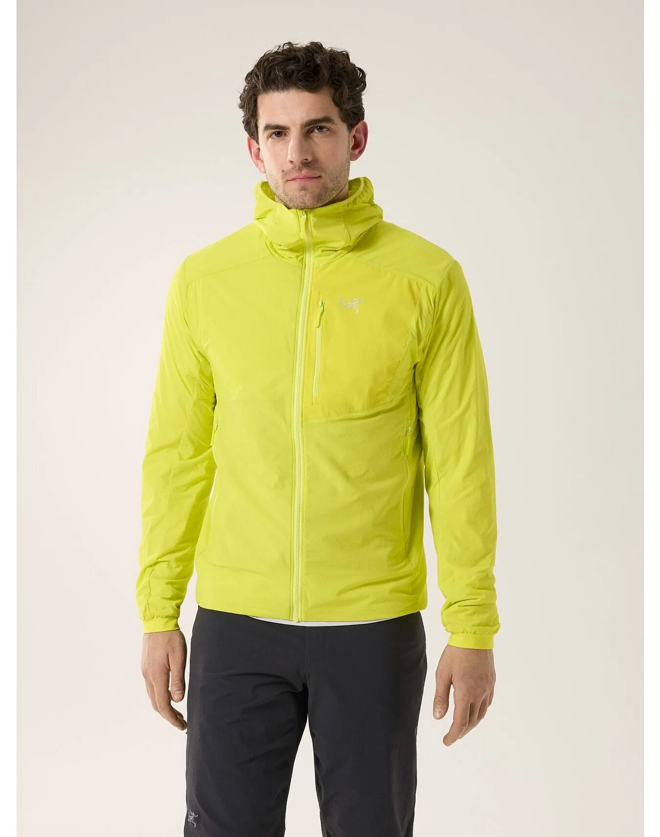 Arc'teryx Men's Proton Lightweight Hoody