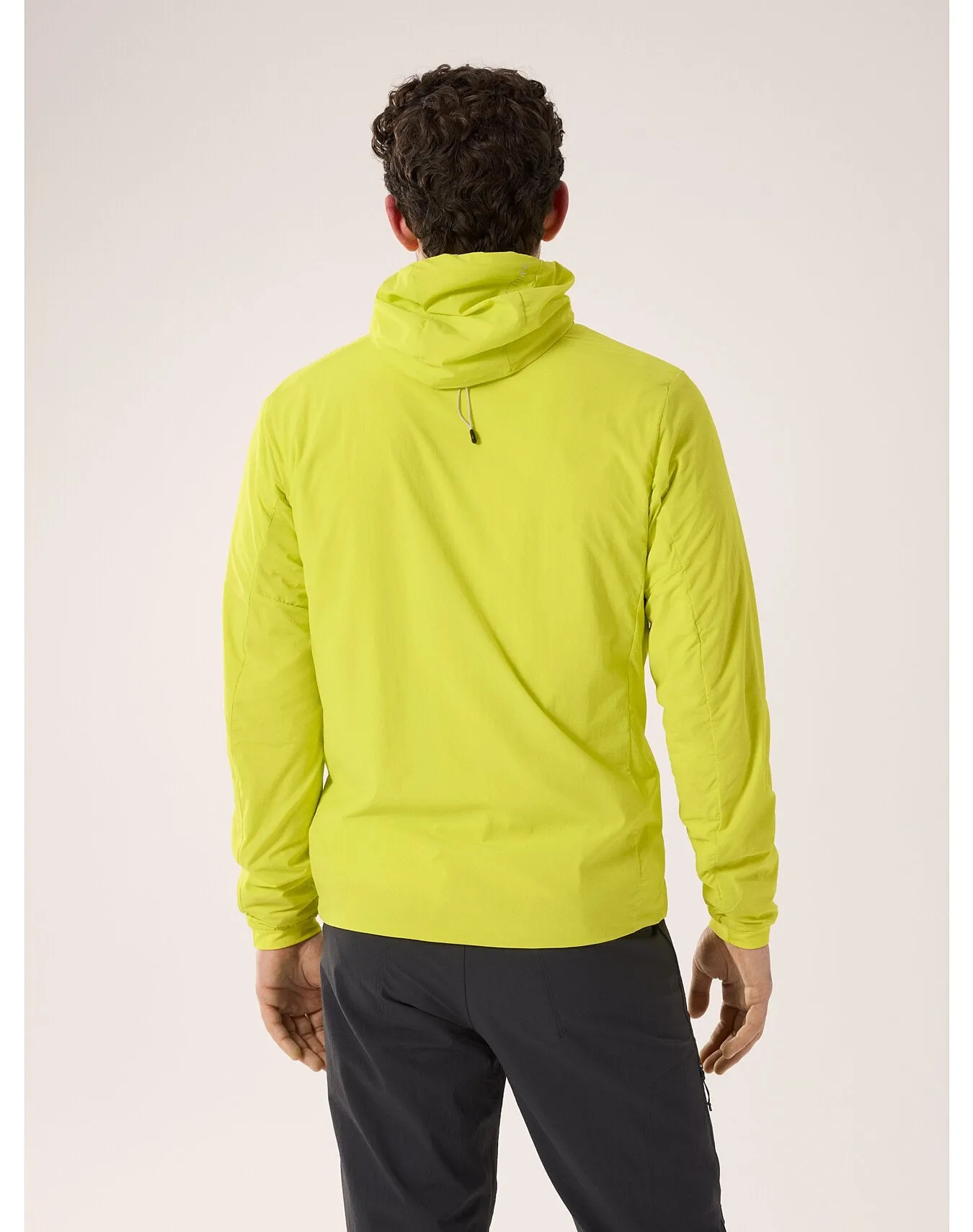 Arc'teryx Men's Proton Lightweight Hoody