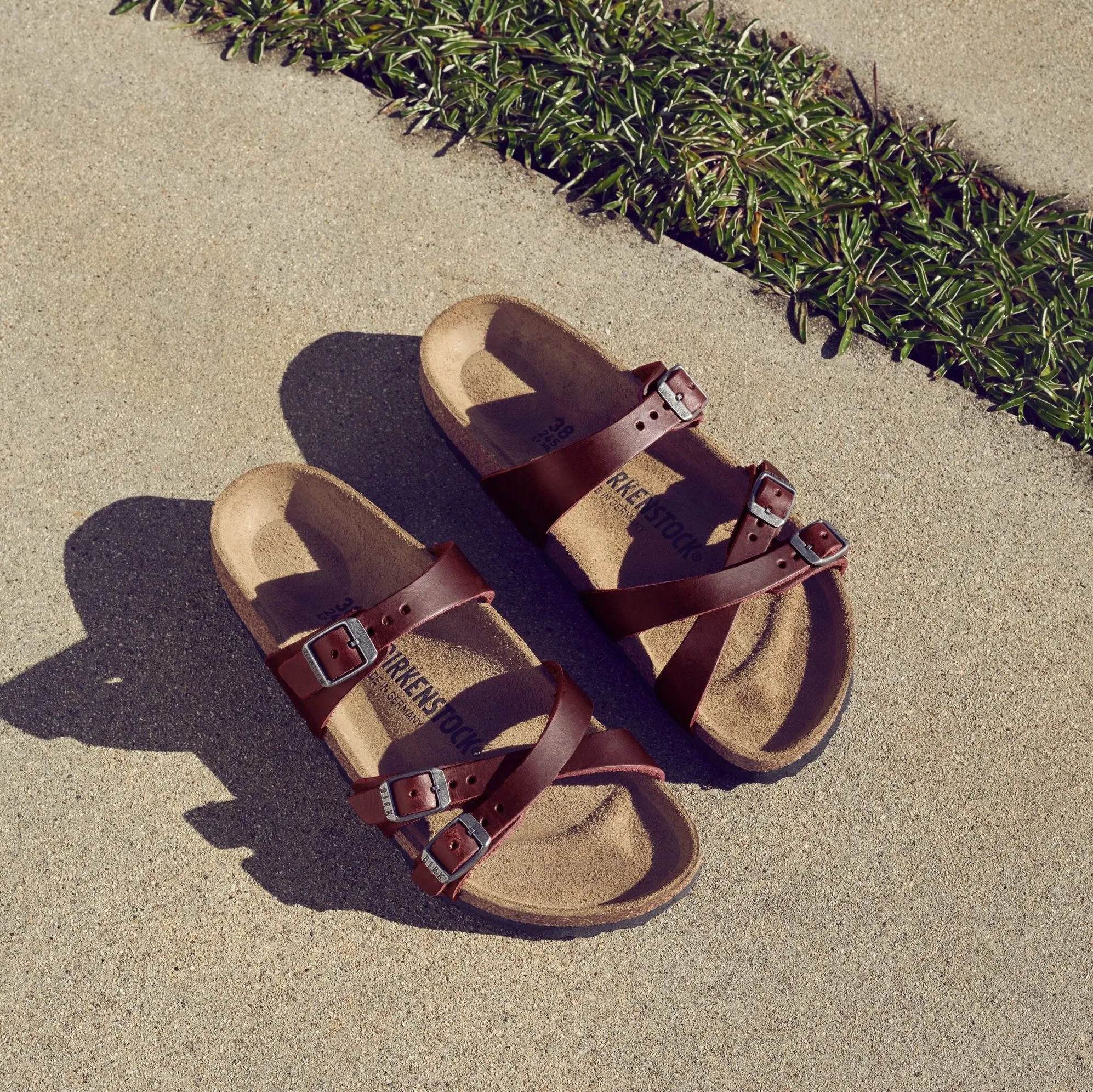 Birkenstock Limited Edition Franca zinfandel oiled leather